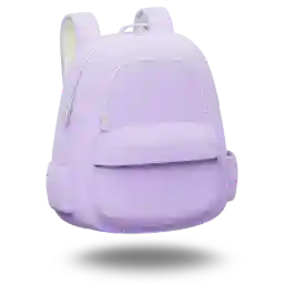 Humanitas CLass 12 Online batches Class 12 batches for board exam humanities